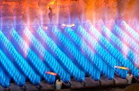 Tredown gas fired boilers